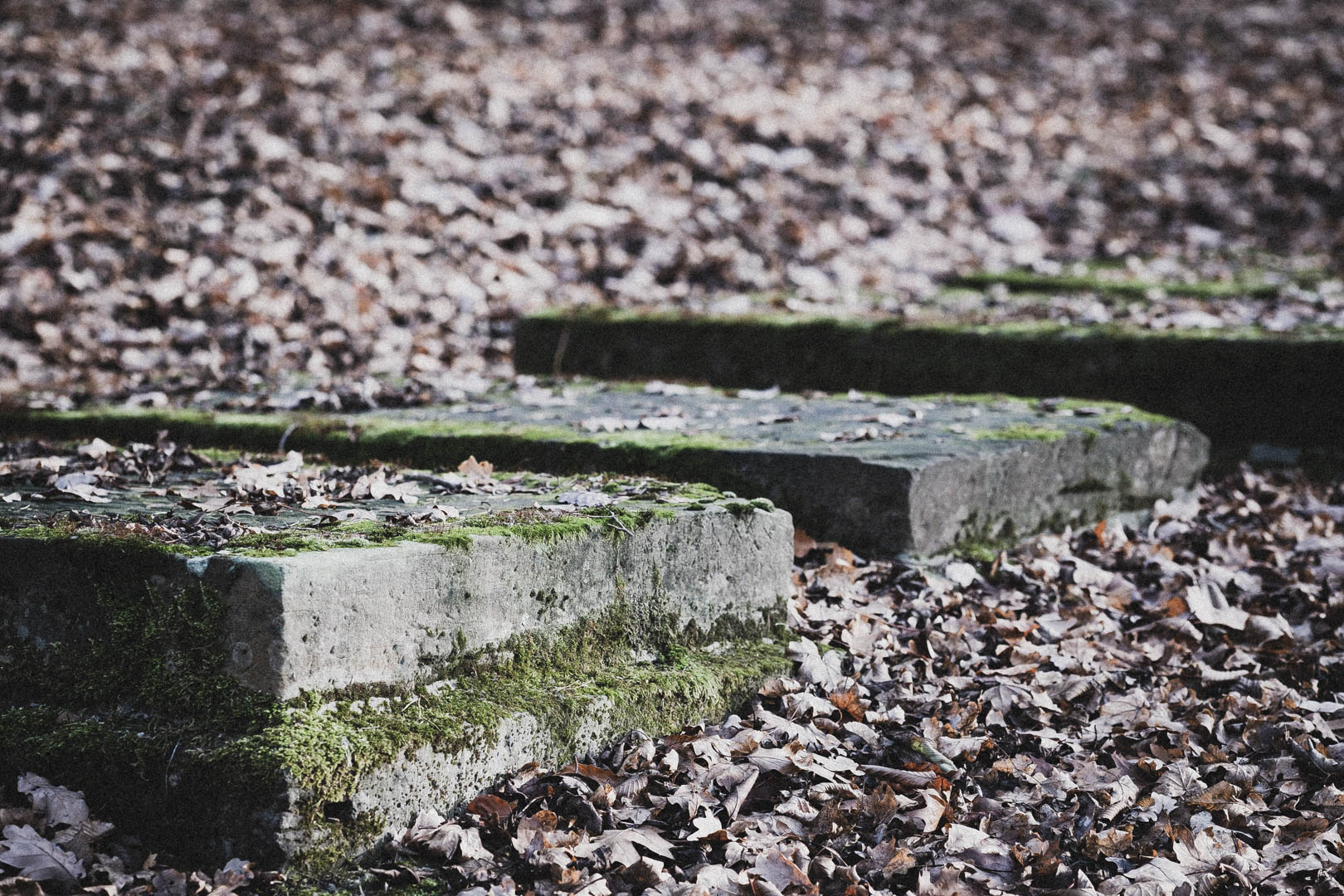 Moringen, Jüdischer Friedhof